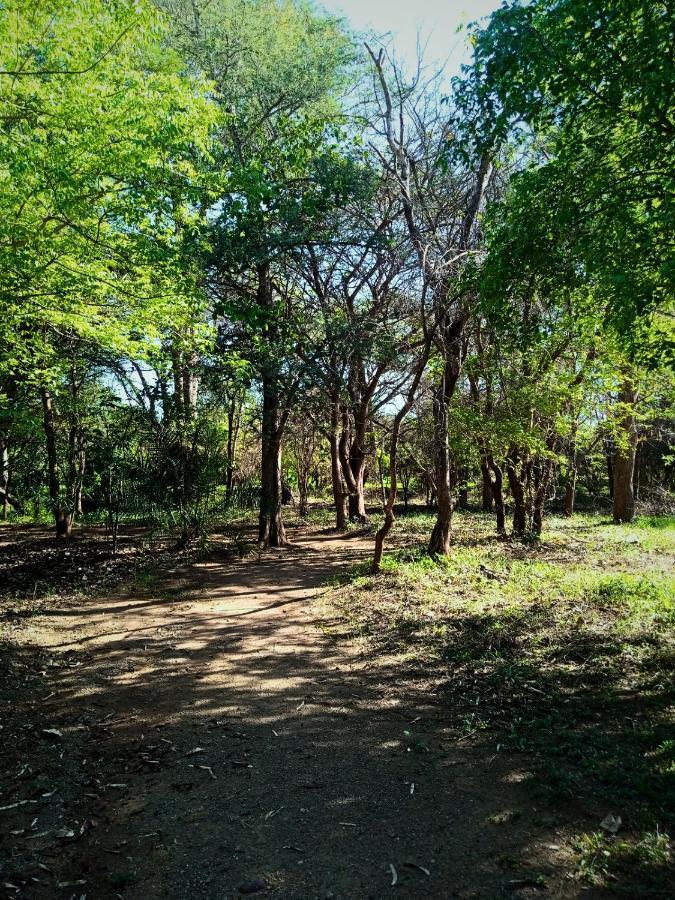 Munga Eco-Lodge Livingstone Exterior photo